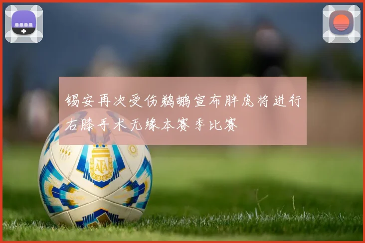 锡安再次受伤鹈鹕宣布胖虎将进行右膝手术无缘本赛季比赛
