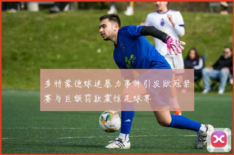 多特蒙德球迷暴力事件引发欧冠禁赛与巨额罚款震惊足球界