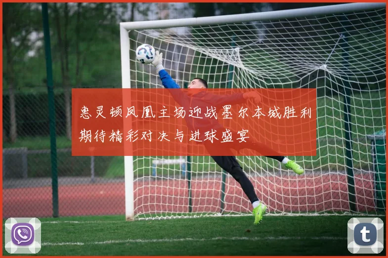 惠灵顿凤凰主场迎战墨尔本城胜利期待精彩对决与进球盛宴